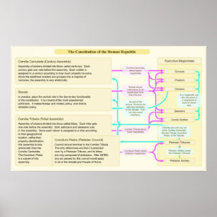 Poster La structure constitutionnelle de la République