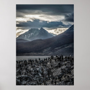 Poster La Symphonie de la nature : un portrait de la natu