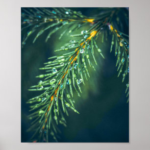 Poster La Tapisserie de la nature : saisir la beauté des 