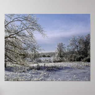 Poster La tempête de pluie verglaçante glace une forêt