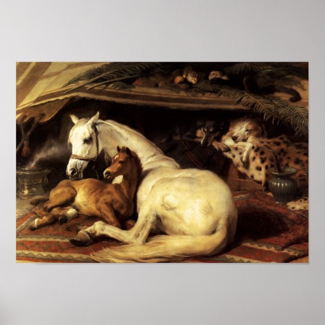 POSTER LA TENTE ARABE AVEC CHEVAUX ET AUTRES ANIMAUX (Devant)
