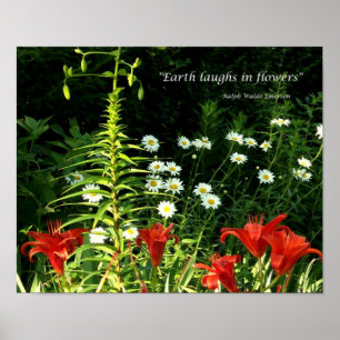 Poster La Terre rit