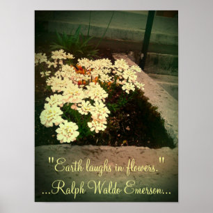 Poster La Terre rit en fleurs