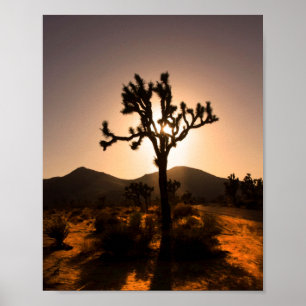 Poster La tombée de la nuit commence à Joshua Tree
