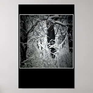 Poster la tonnelle de la reine de neige