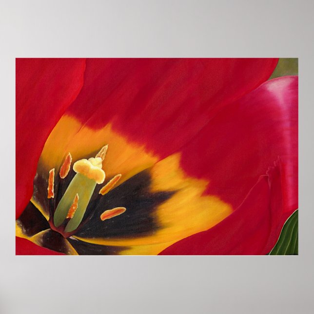 Poster La tulipe rouge (Devant)