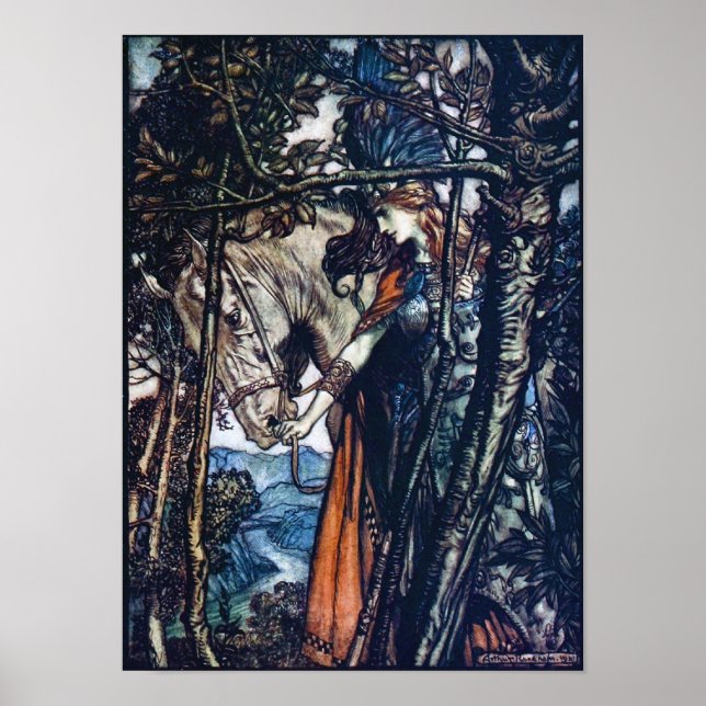 Poster La Valkyrie 2 (Devant)