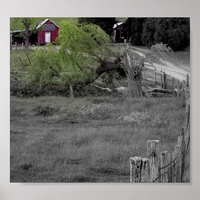 Poster La vie après une catastrophe (Devant)