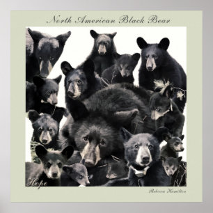 Poster La vie de Hope