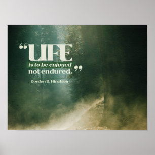 Poster La Vie Doit Être Jouie