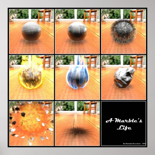 Poster La vie du marbre (Devant)