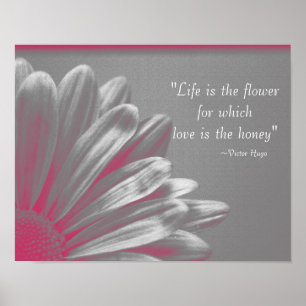Poster La vie est la Fleur - Marguerite Rose