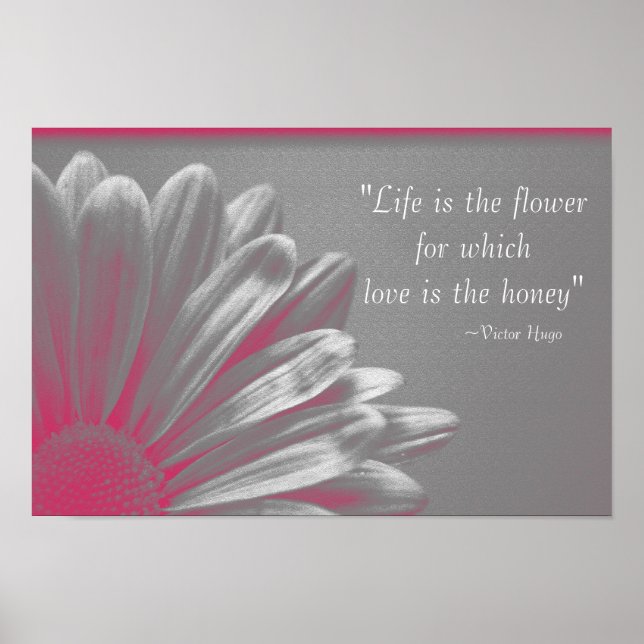 Poster La vie est la Fleur - Rose Daisy (Devant)