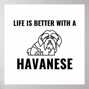 Poster La vie est meilleure avec un havanais