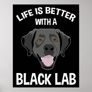Poster La Vie Est Meilleure Avec Un Laboratoire Noir