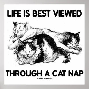 Poster La Vie Est Mieux Vue À Travers Un Cat Nap (Trois C