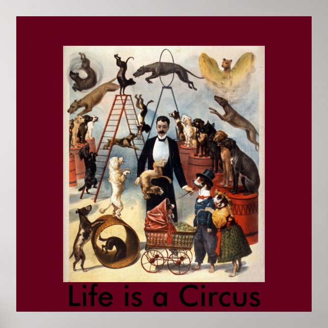 Poster La vie est un cirque (Devant)