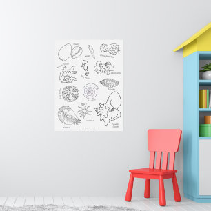 Poster La vie marine dessinée à la main en noir et blanc
