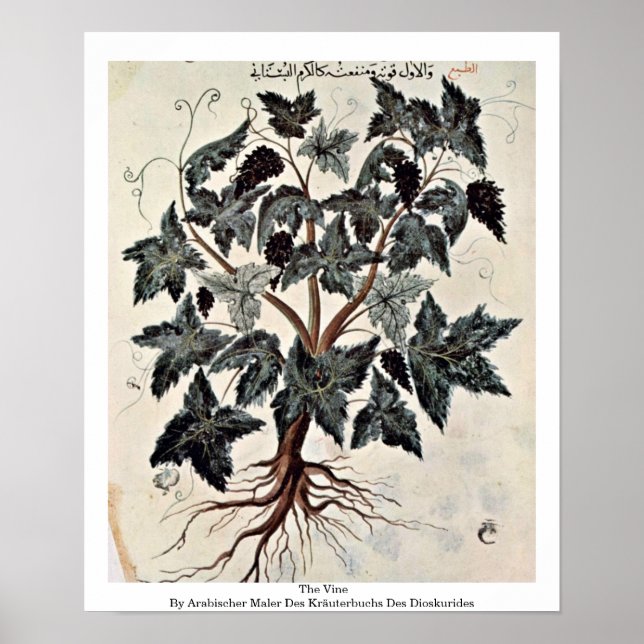 Poster La Vigne (Devant)