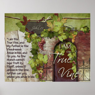 Poster La vigne vraie