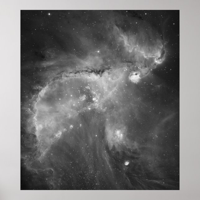 Poster La vision noire et blanche de Hubble de l'univers (Devant)