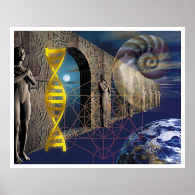 Poster La voie de l'évolution (Devant)