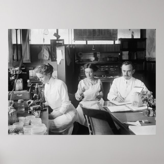 Poster Lab Rats, 1912 (Devant)
