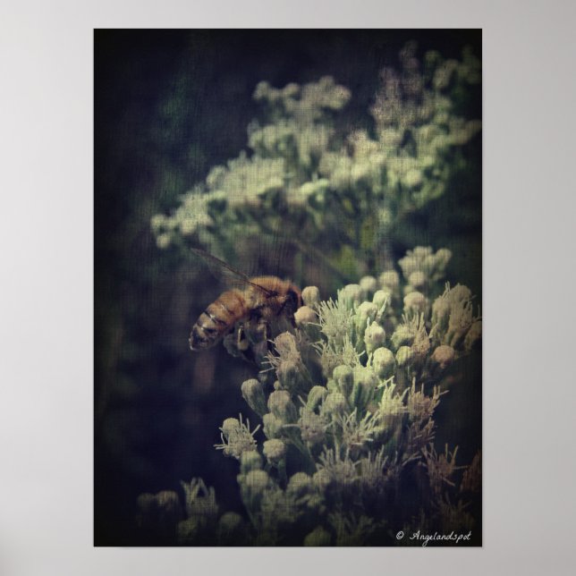 Poster L'abeille (Devant)