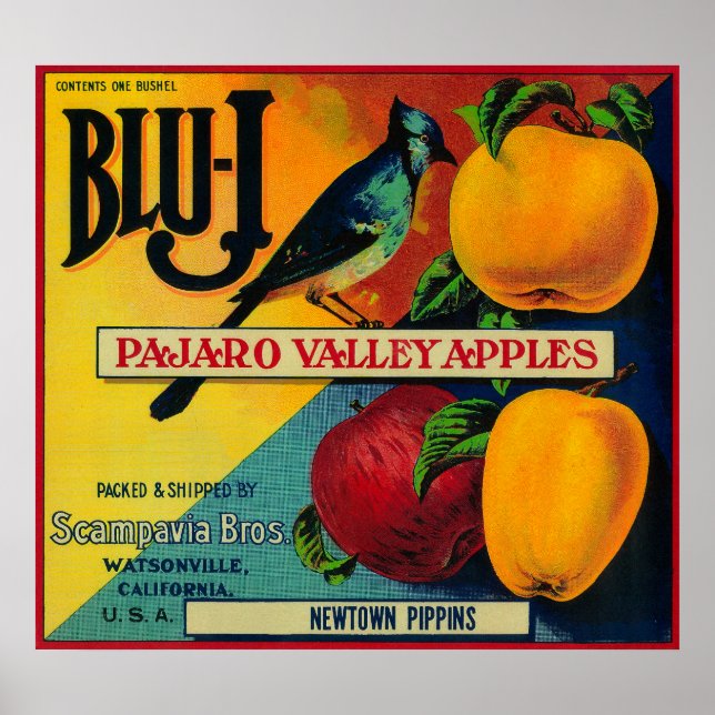 Poster Label Blu-J Apple Crate Watsonville, CA (Devant)