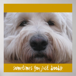 Poster Labradoodle Thoughts