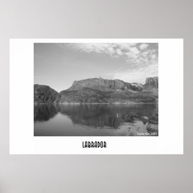 Poster Labrador (Devant)