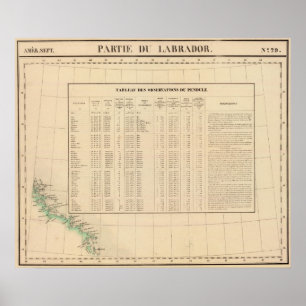 Poster Labrador 29