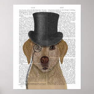 Poster Labrador jaune, Hound officiel et Casquette
