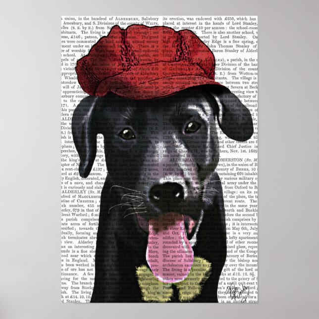 Poster Labrador Noir avec Casquette rouge (Devant)
