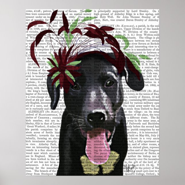Poster Labrador Noir Avec Fascinateur Vert (Devant)