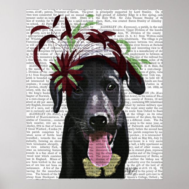 Poster Labrador Noir Avec Fascinateur Vert (Devant)