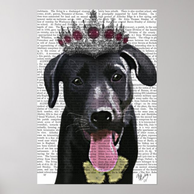 Poster Labrador Noir Avec Tiara (Devant)