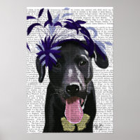 Labrador Noir avec ventilateur bleu