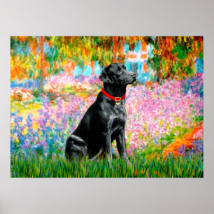 Poster Labrador (Noir) - Jardin