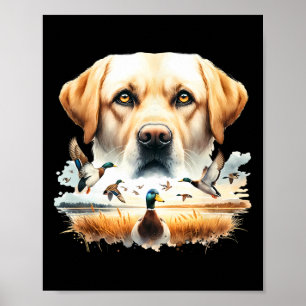 Poster Labrador Retriever avec canards colverts chassant