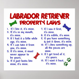 POSTER LABRADOR RETRIEVER PL2