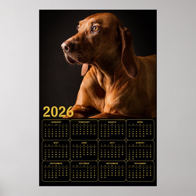 Poster Labrador Retriever Portrait with 2026 Calendar (Devant)