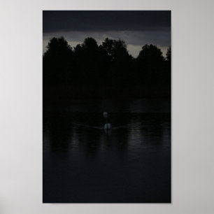 Poster Lac au coucher de soleil Pluie Cygnes Paysage Natu