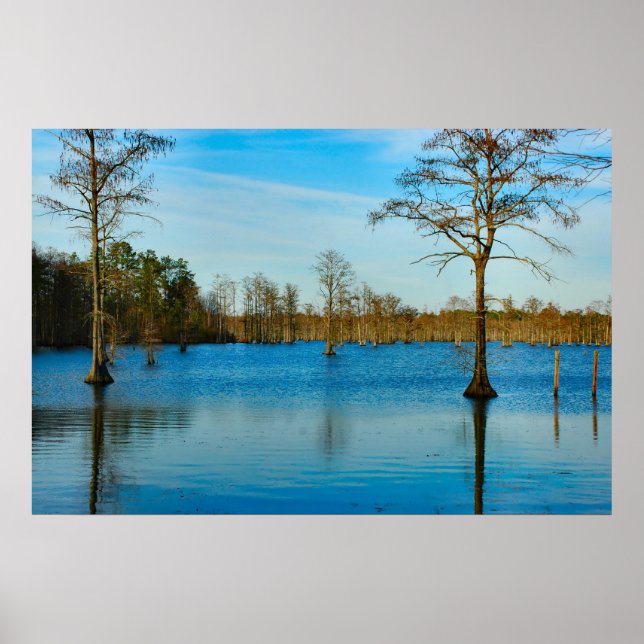 Poster Lac Cypress (Devant)