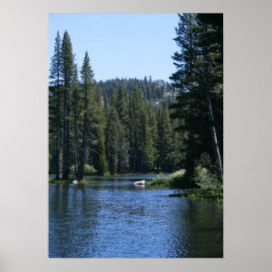 Poster Lac de montagne, forêt de pins