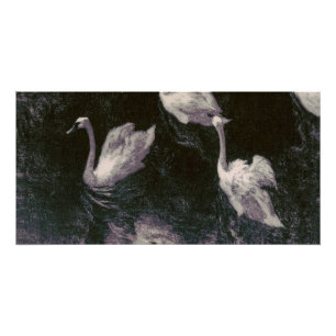 Poster Lac des cygnes au clair de lune