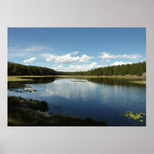 Poster Lac des Cygnes II au Grand Teton National Park