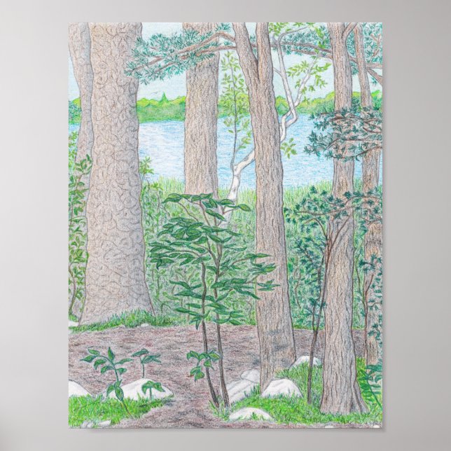 Poster Lac d'été avec dessin au crayon de couleur bois (Devant)