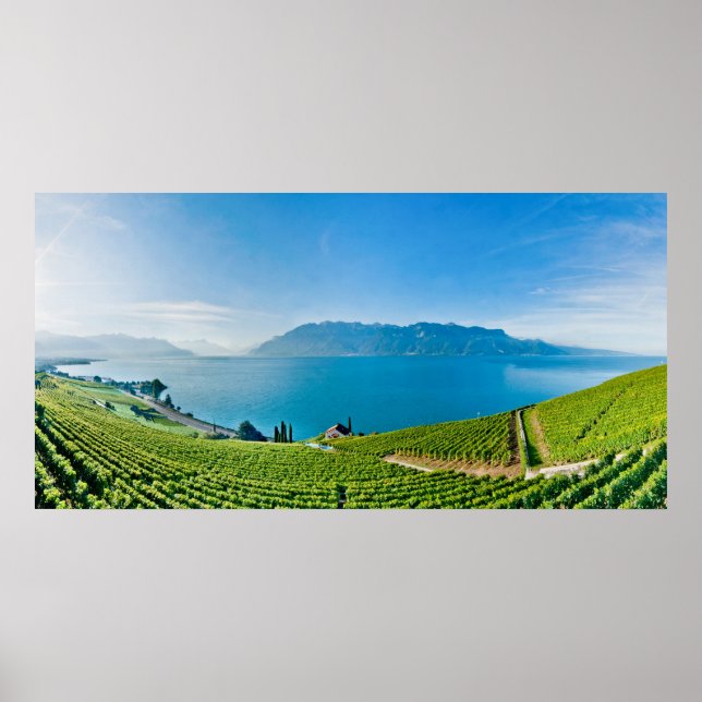 Poster Lac Léman 017 (Devant)