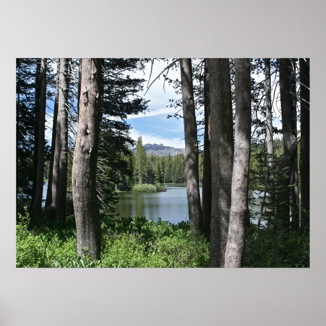 Poster Lac Mountain, Forêt (Devant)